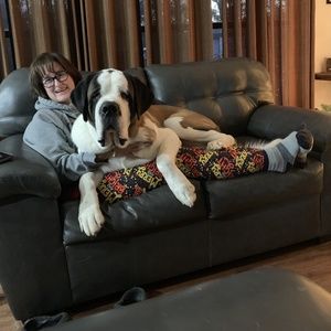 Meet your Posher, Tara